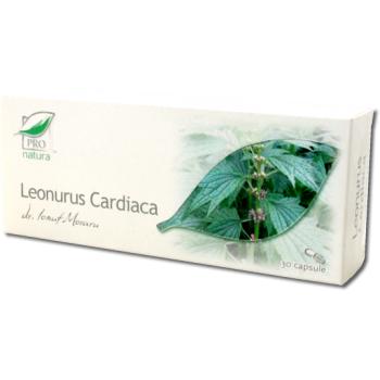 Leonurus cardiaca 30 cps PRO NATURA