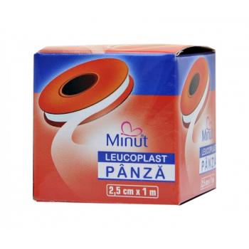 Leucoplast minut panza 2.5x5 1 gr VISION TRADING