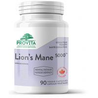 Lions Mane 5000 ciuperca Coama leului (Hericium) – 500 mg