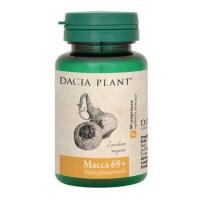 Macca 69+ DACIA PLANT