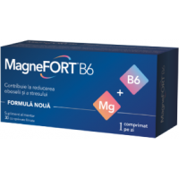 Magnefort b6