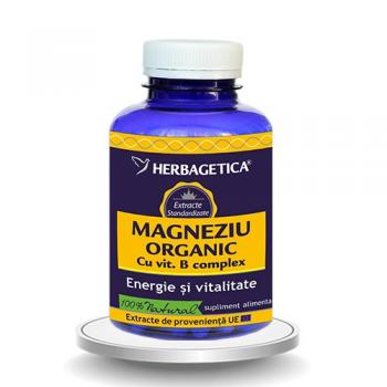 Magneziu organic cu vitamina b complex 120 cps HERBAGETICA