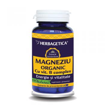 Magneziu organic cu vitamina b complex 60 cps HERBAGETICA