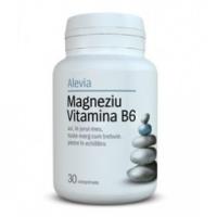 Magneziu vitamina b6