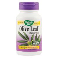 Olive leaf standardized