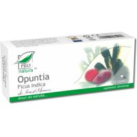 Opuntia ficus indica PRO NATURA