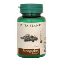 Faringoplant DACIA PLANT