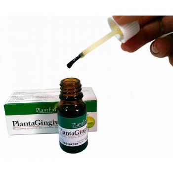 Plantagingival 10 ml PLANTEXTRAKT