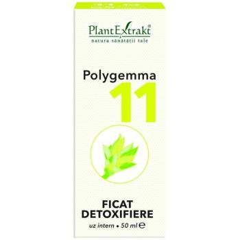 Polygemma 11 - ficat detoxifiere 50 ml PLANTEXTRAKT