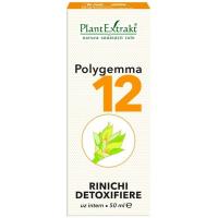 Polygemma 12 - rinichi detoxifiere