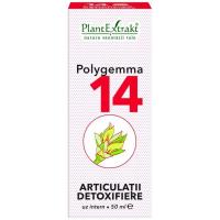 Polygemma 14 - articulatii detoxifiere