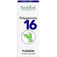 Polygemma 16 - plamani