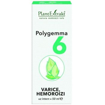 Polygemma 6 - varice, hemoroizi 50 ml PLANTEXTRAKT