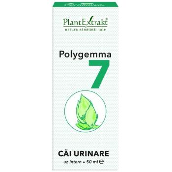 Polygemma 7 - cai urinare 50 ml PLANTEXTRAKT