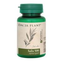 Salix 500 60cpr DACIA PLANT