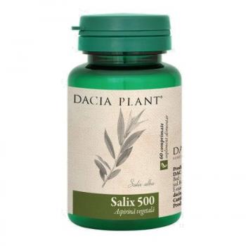 Salix 500 60 cpr DACIA PLANT