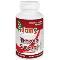 Thyroid support 
