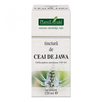 Tinctura de ceai de jawa - orthosiphon stamineus tm=d1 120 ml PLANTEXTRAKT
