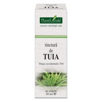 Tinctura de tuia - thuja occidentalis tm 30 ml PLANTEXTRAKT