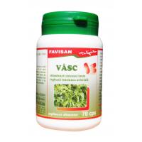 Vasc b046 FAVISAN