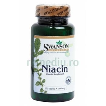 Vitamina b3 niacina 100 mg 250 cps SWANSON
