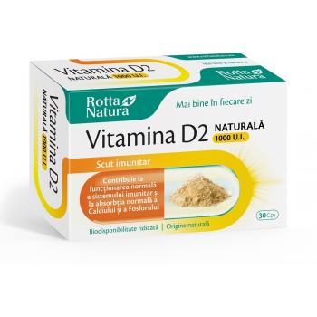 Vitamina d2 1000 ui 30 cps ROTTA NATURA