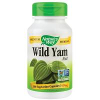 Wild yam root NATURES WAY